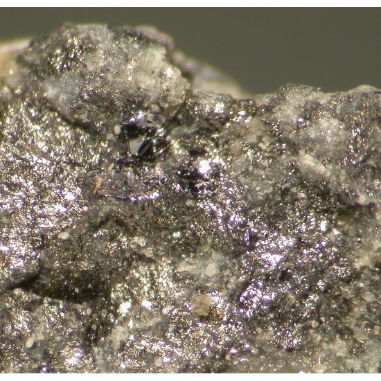 Krupkaite