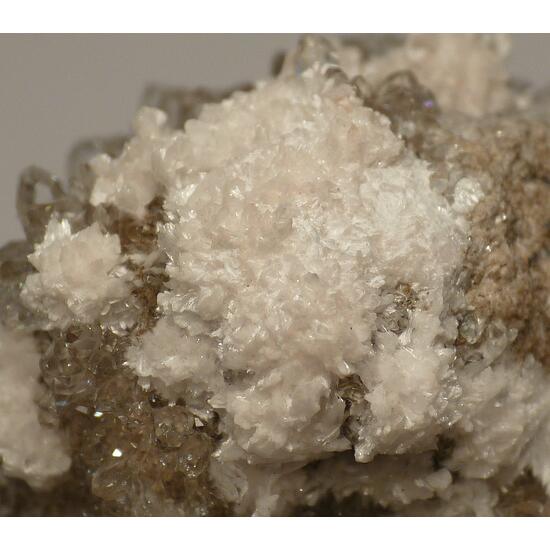 Oyelite