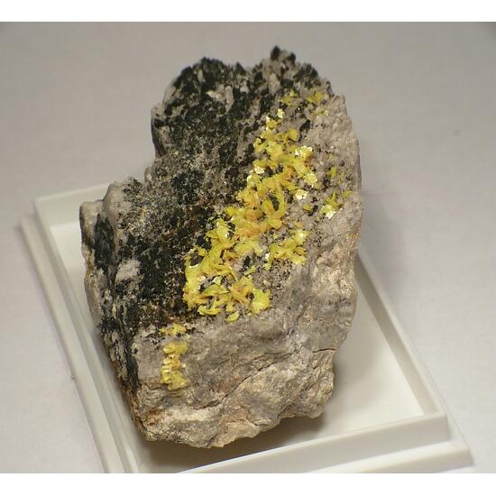 Uranocircite