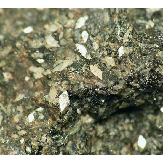 Naujakasite