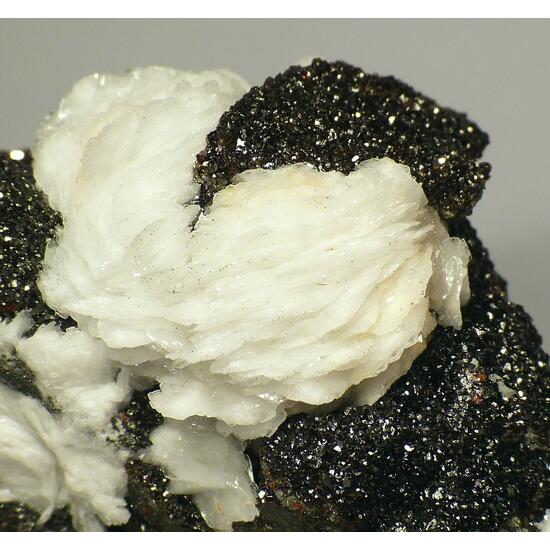 Baryte On Sphalerite