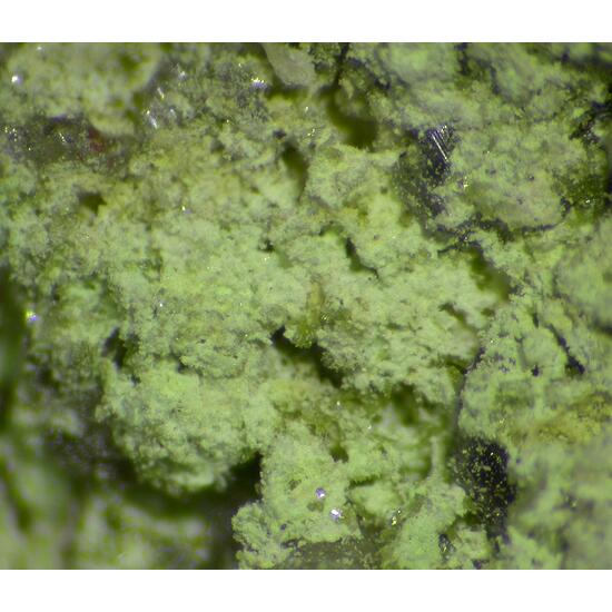 Zincgartrellite
