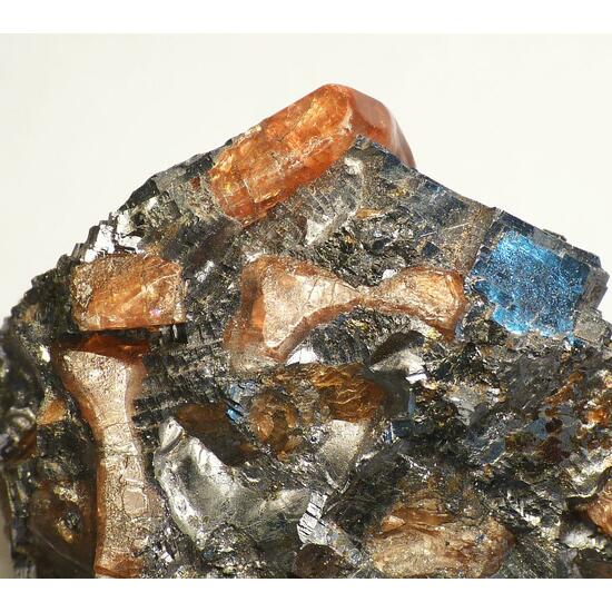 Bustamite