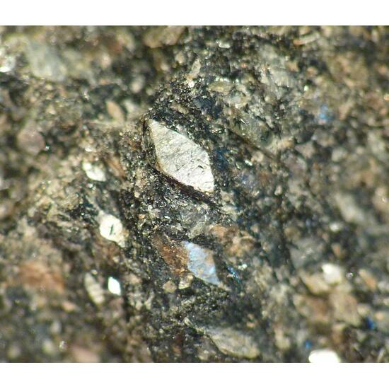 Naujakasite