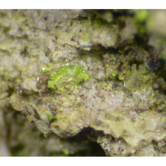 Sengierite