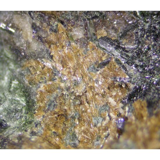 Kalifersite