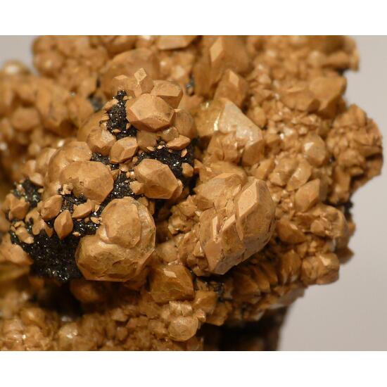 Sturmanite