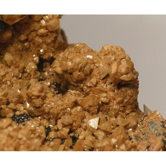 Sturmanite