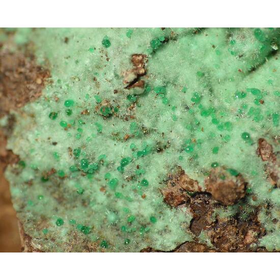 Agardite-(La) & Adamite