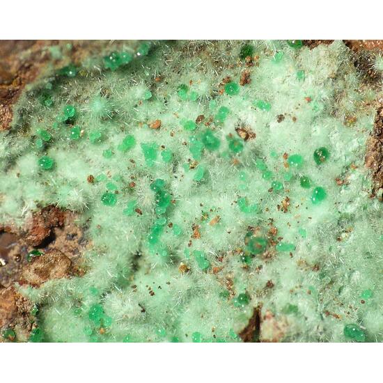 Agardite-(La) & Adamite
