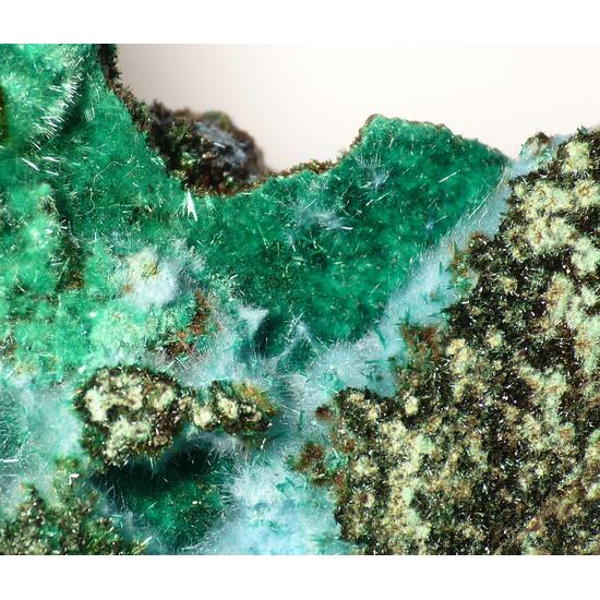 Cyanotrichite & Brochantite