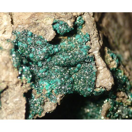 Ludjibaite Reichenbachite & Pseudomalachite