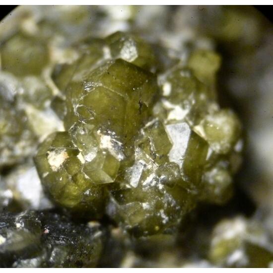 Andradite Var Demantoid