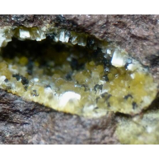 Erionite-Ca