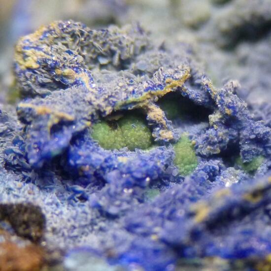 Philipsburgite & Azurite