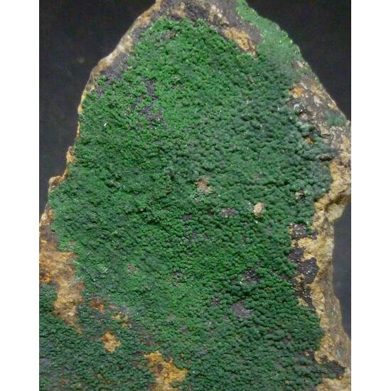 Bayldonite