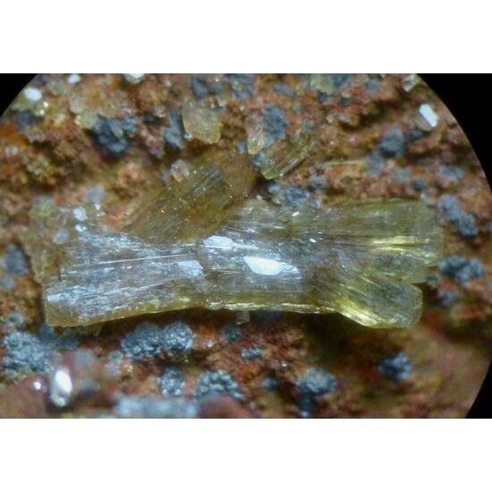 Adamite
