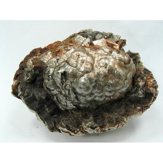 Muscovite