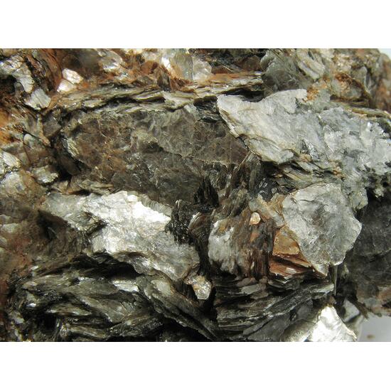 Muscovite