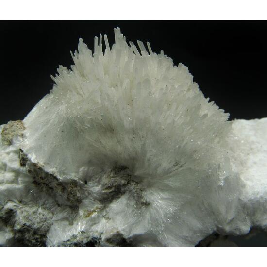 Scholzite