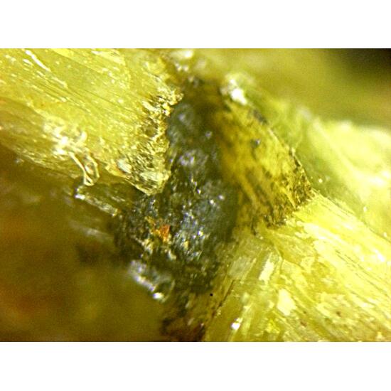 Ferrotitanowodginite