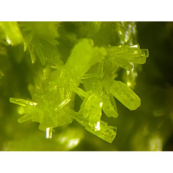 Pyromorphite