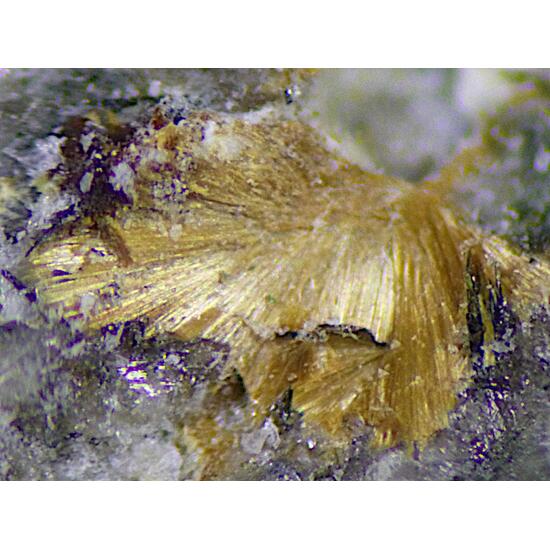 Windmountainite