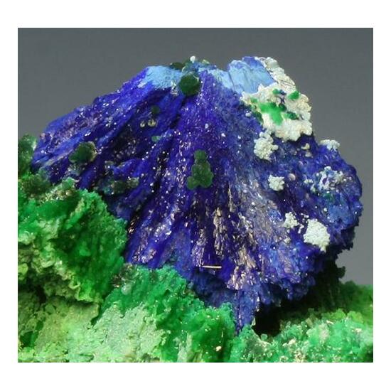 Azurite Malachite Olivenite & Conichalcite