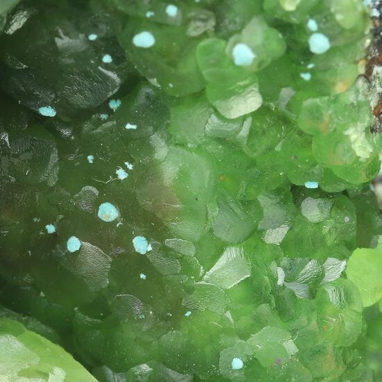 Cuprian Smithsonite & Aurichalcite