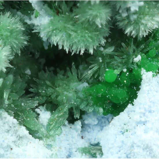 Olivenite Conichalcite & Arsenocrandallite