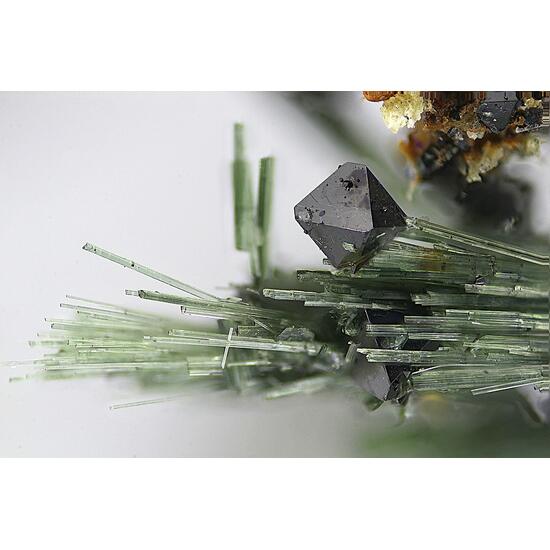 Magnetite & Actinolite