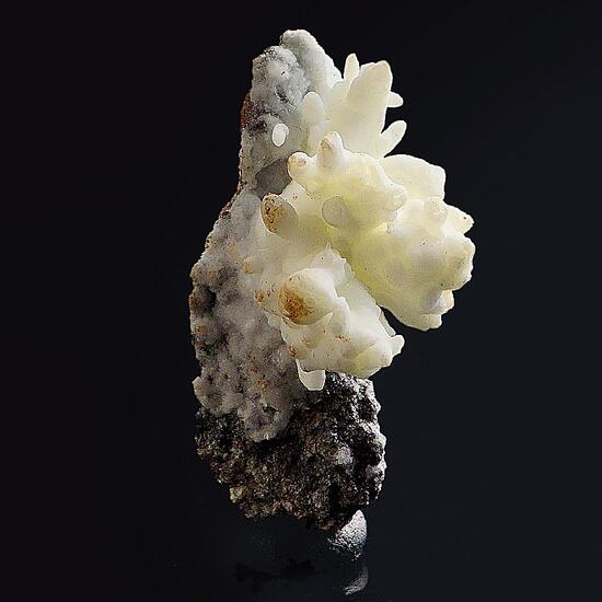 Aragonite Var Flos Ferri