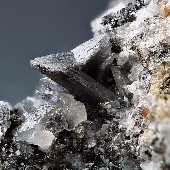 Whewellite With Calcite