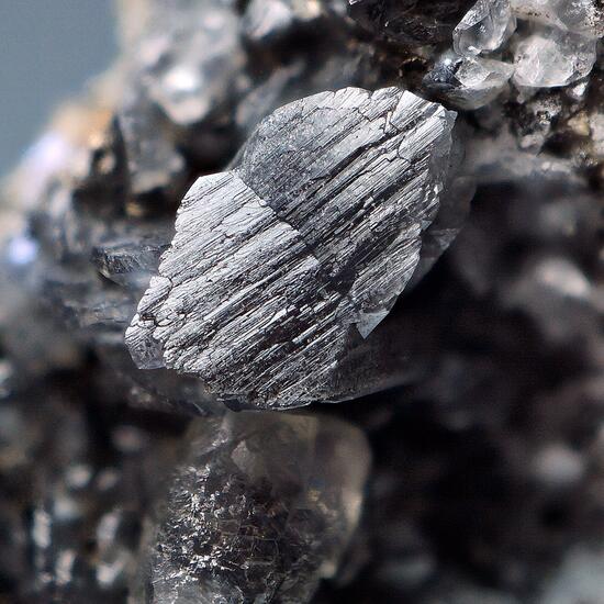 Whewellite With Calcite