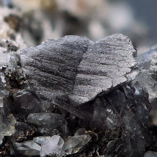Whewellite With Calcite