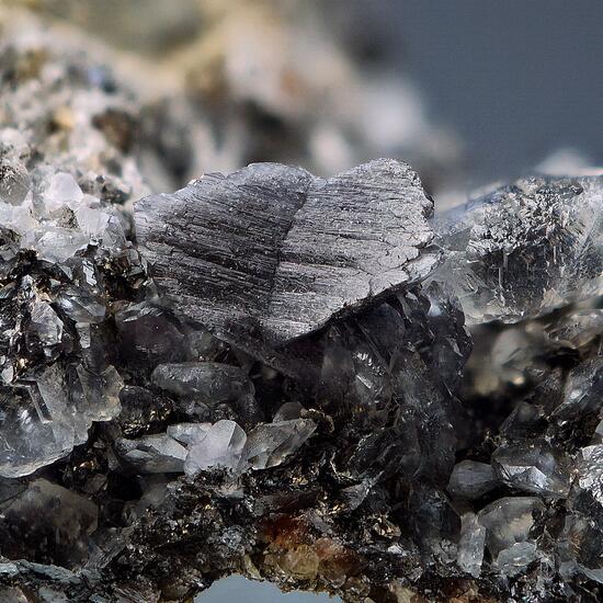 Whewellite With Calcite