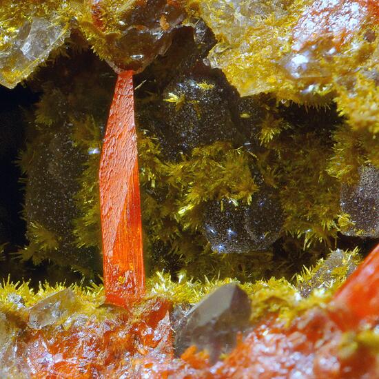 Crocoite & Pyromorphite Bindheimite