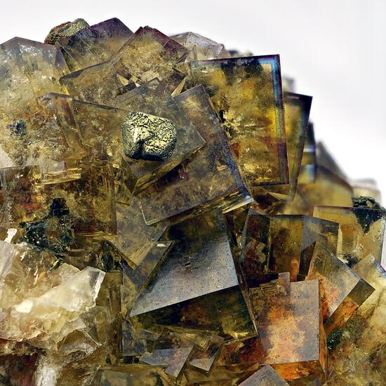 Fluorite & Chalcopyrite