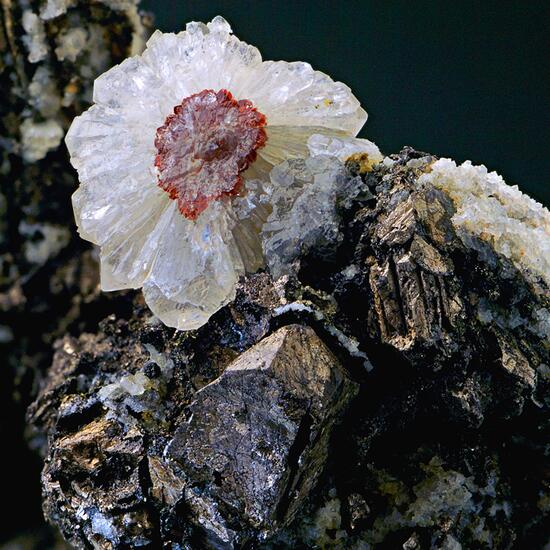 Native Bismuth & Quartz