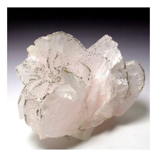 Calcite & Pyrite