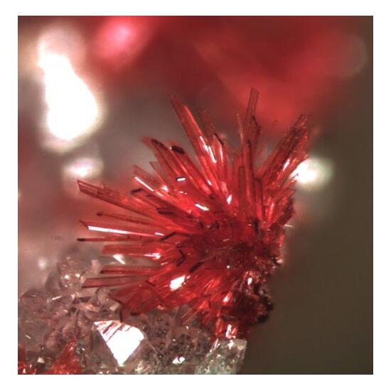 Erythrite