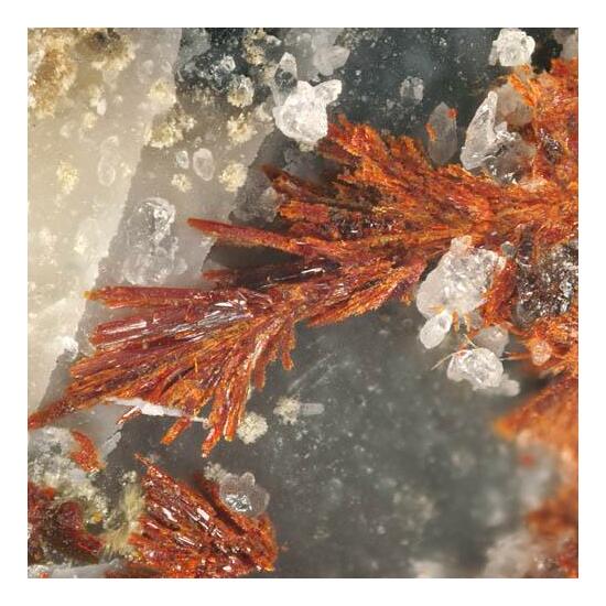 Medaite