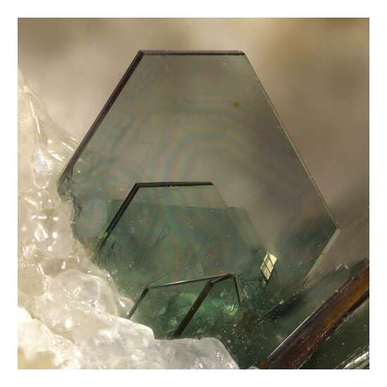 Phlogopite