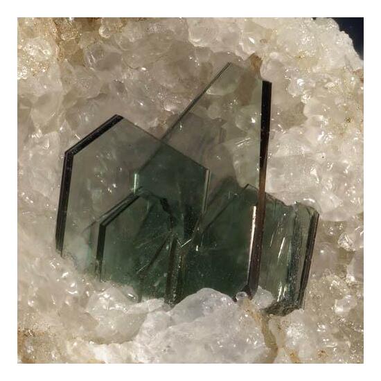 Phlogopite
