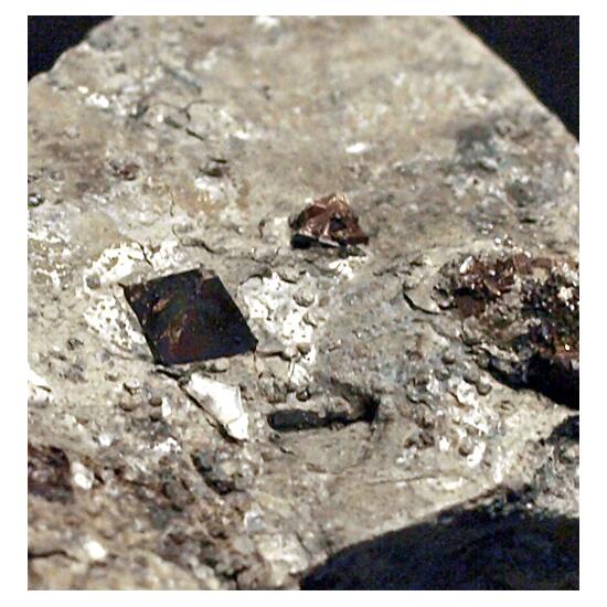 Hauerite