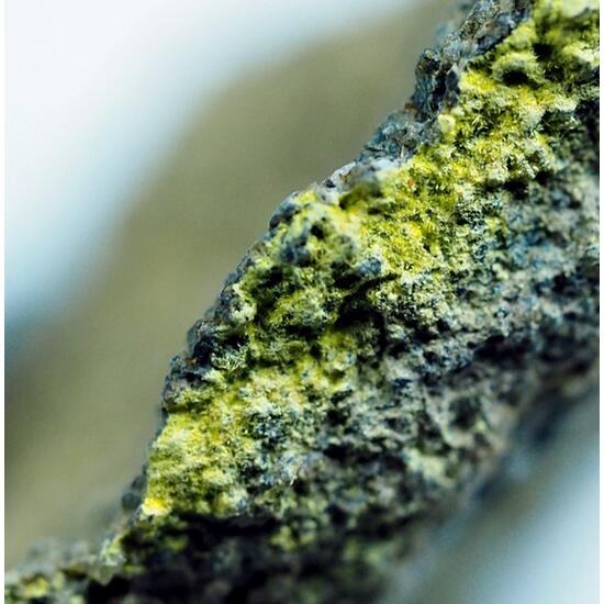 Phurcalite