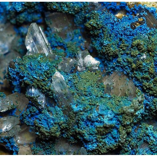 Cyanotrichite & Selenite