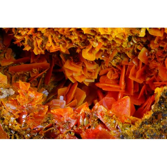 Wulfenite
