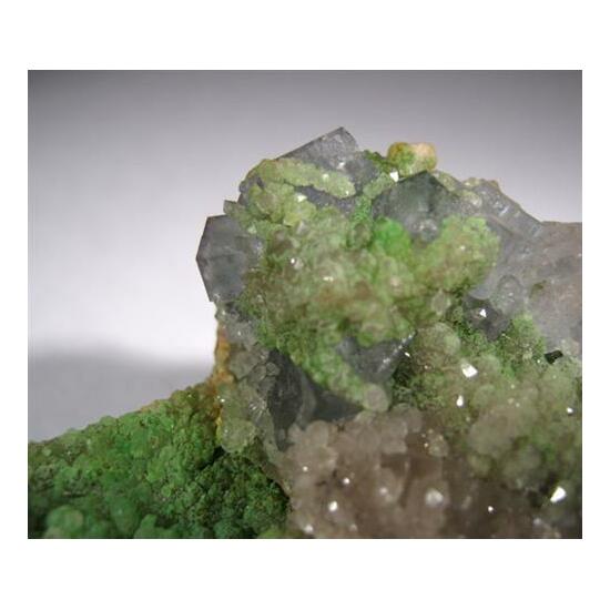 Fluorite With Quartz