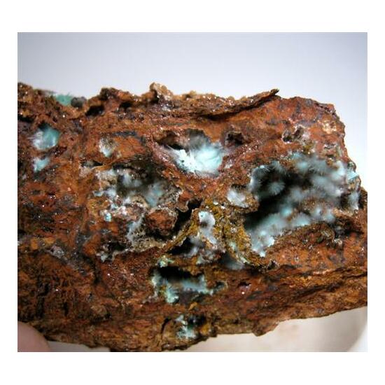 Agardite With Adamite